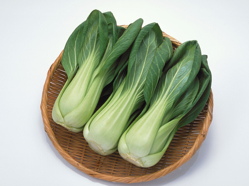 上海青 
